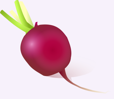 369x323 Free Radish Clipart, 1 Page Of Public Domain Clip Art