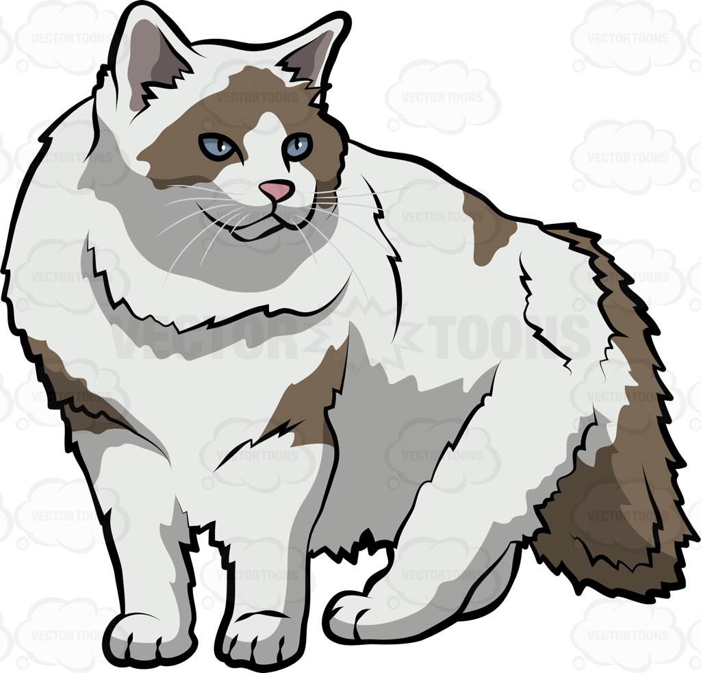 1024x983 A Ragdoll Cat Cartoon Clipart Vector Toons