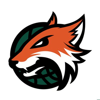 400x400 Raiders Cliparts Logo