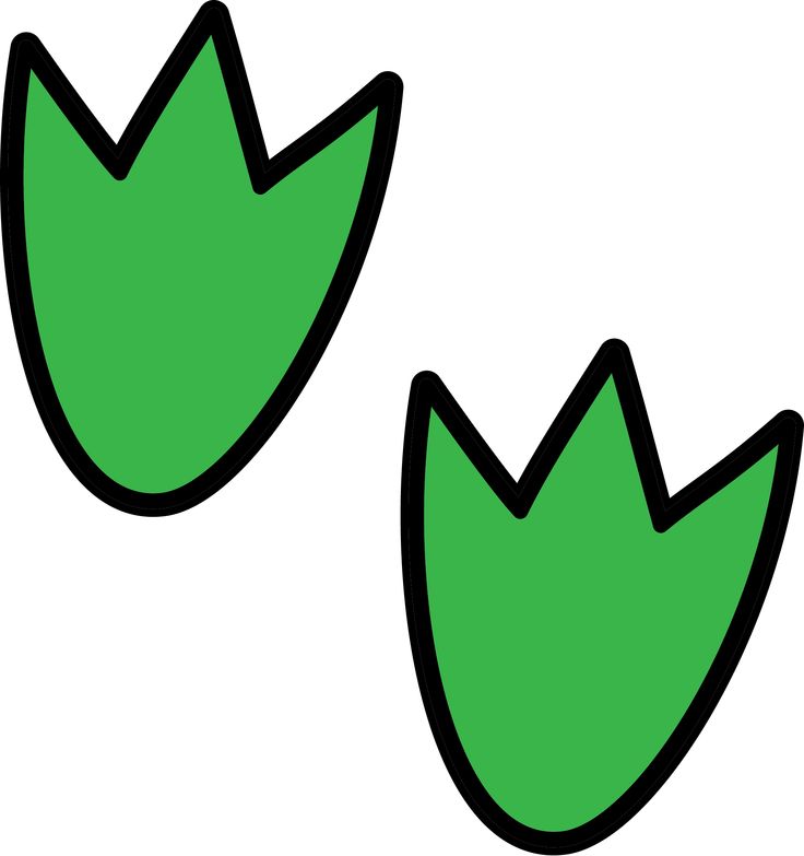 736x783 Rainforest Clipart Hostted 2