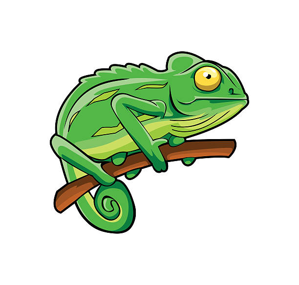 612x584 Rainforest Clipart Rainforest Animal