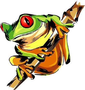 331x350 Tropical Rainforest Animals Clipart