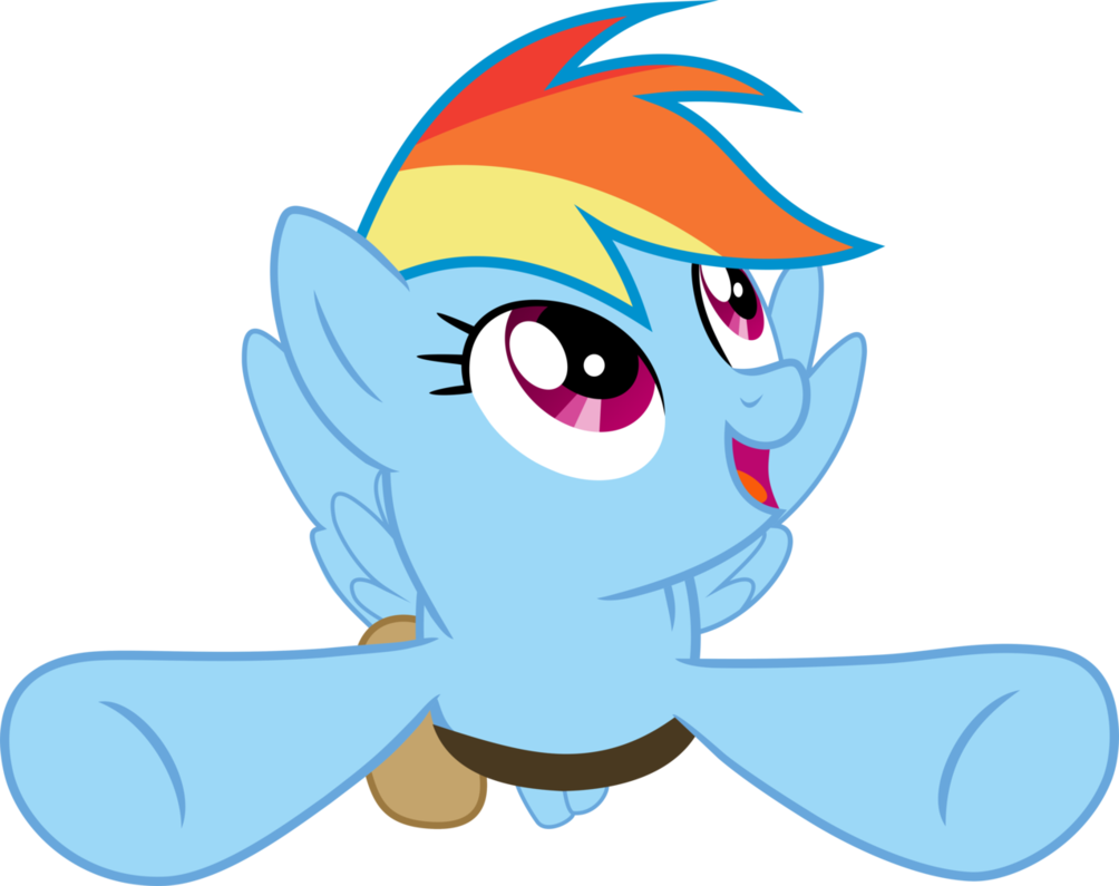 1004x795 Rainbow Dash Vector By Macs44