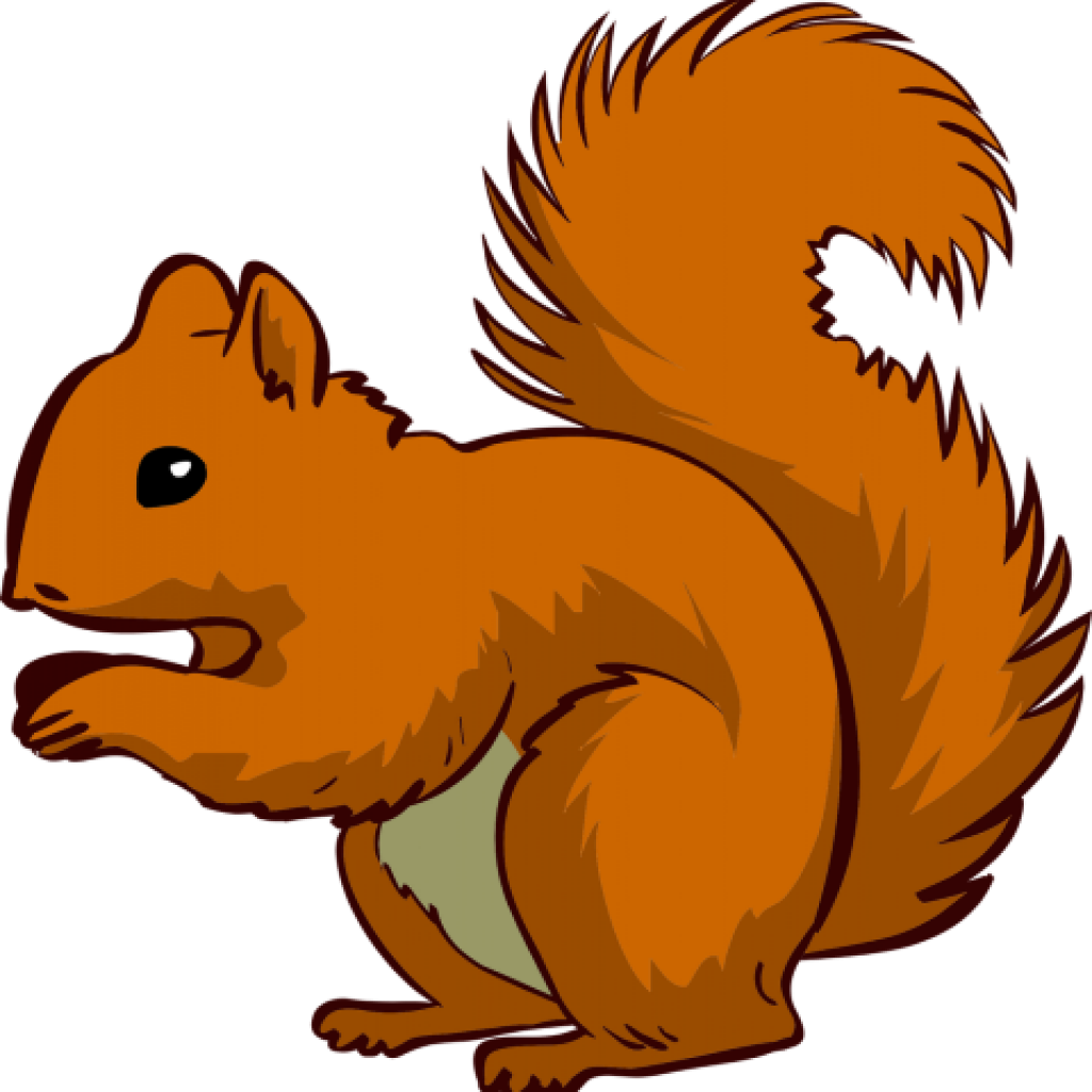 1024x1024 Squirrel Clipart Thank You Clipart