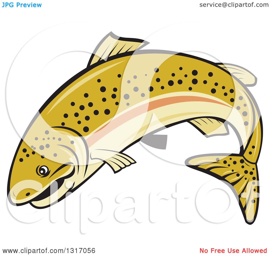 1080x1024 Clipart Of A Cartoon Leaping Rainbow Trout Fish