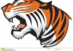 300x210 Cartoon Tiger Face Drawing How To Draw A Roaring Tiger, Stepstep