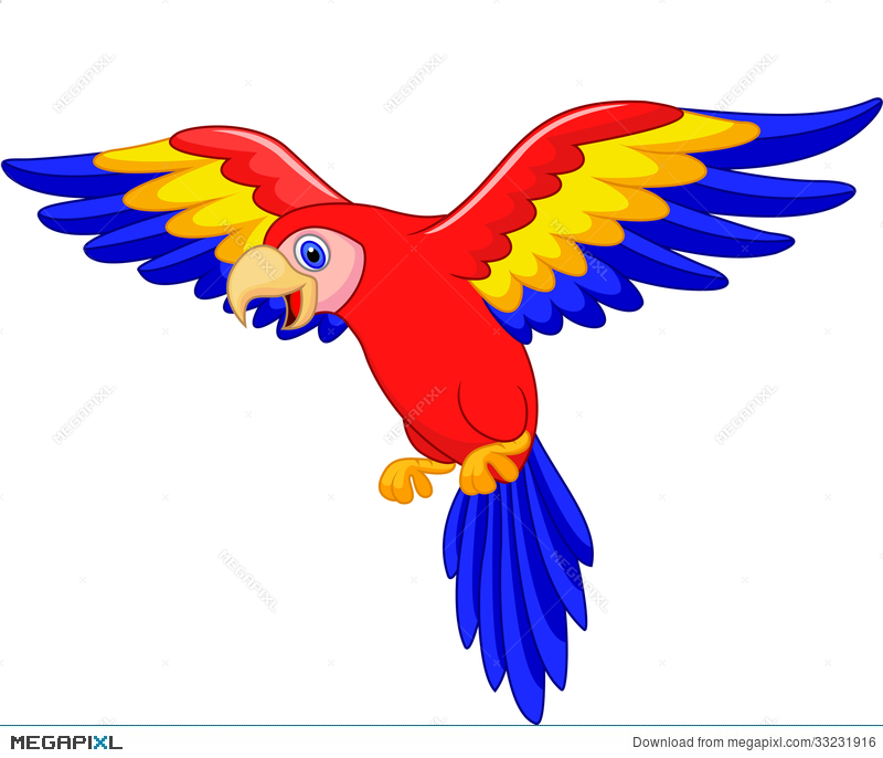 800x686 Cute Parrot Bird Cartoon Illustration 33231916
