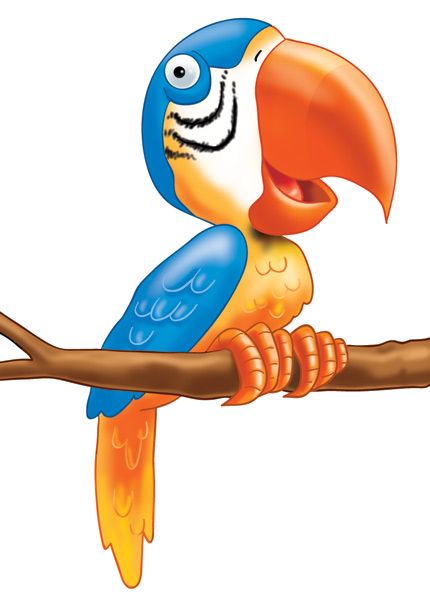 430x600 108 Best Birds Images On Beautiful Birds, Little Birds