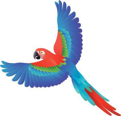 423x405 Macaw Clipart Rainforest