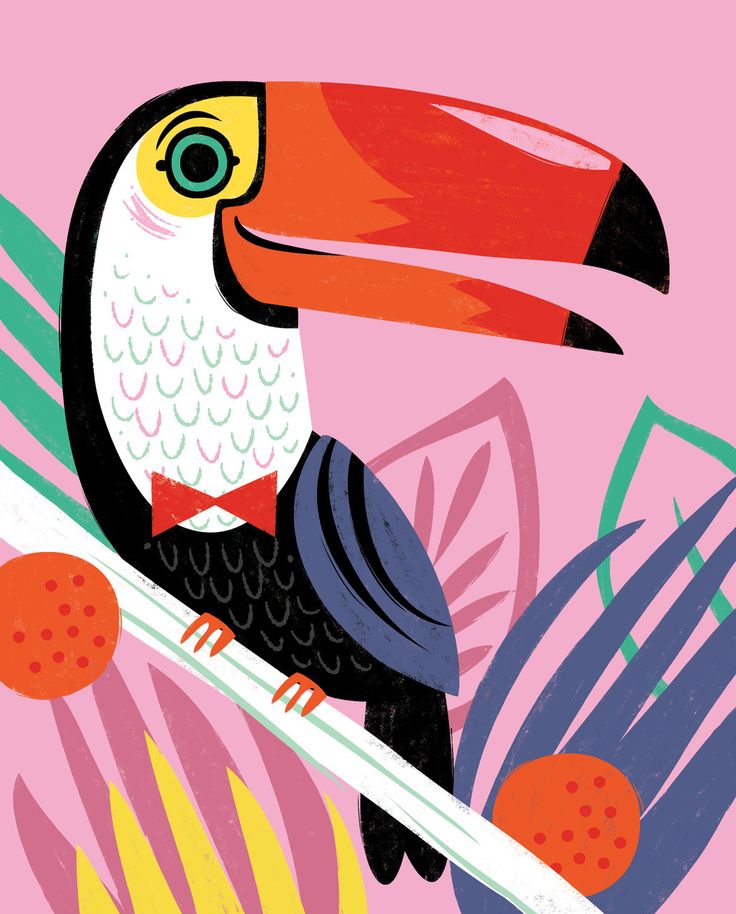 736x914 140 Best Toucans Images On Toco Toucan, Bird Art