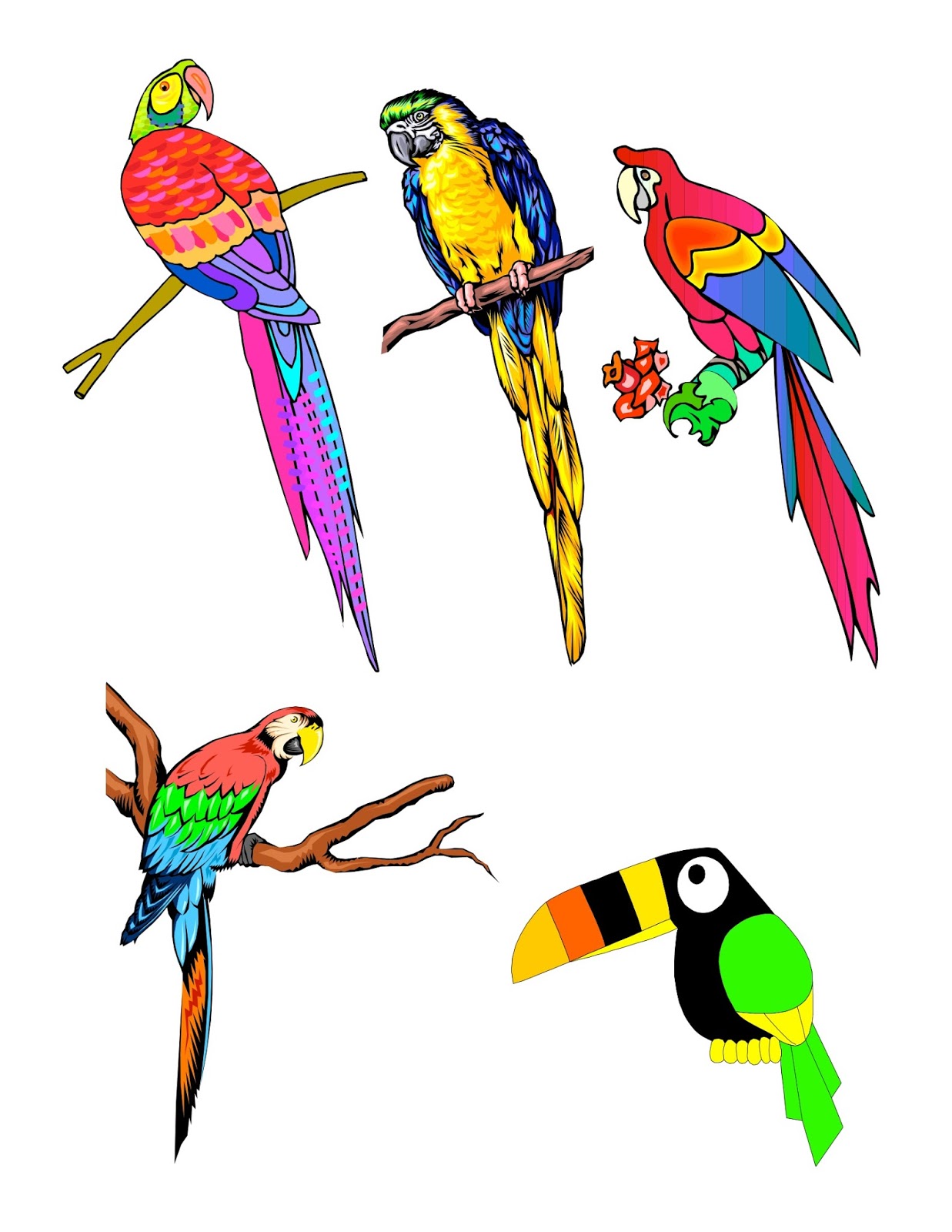 1237x1600 Collection Of Tropical Bird Clipart High Quality, Free