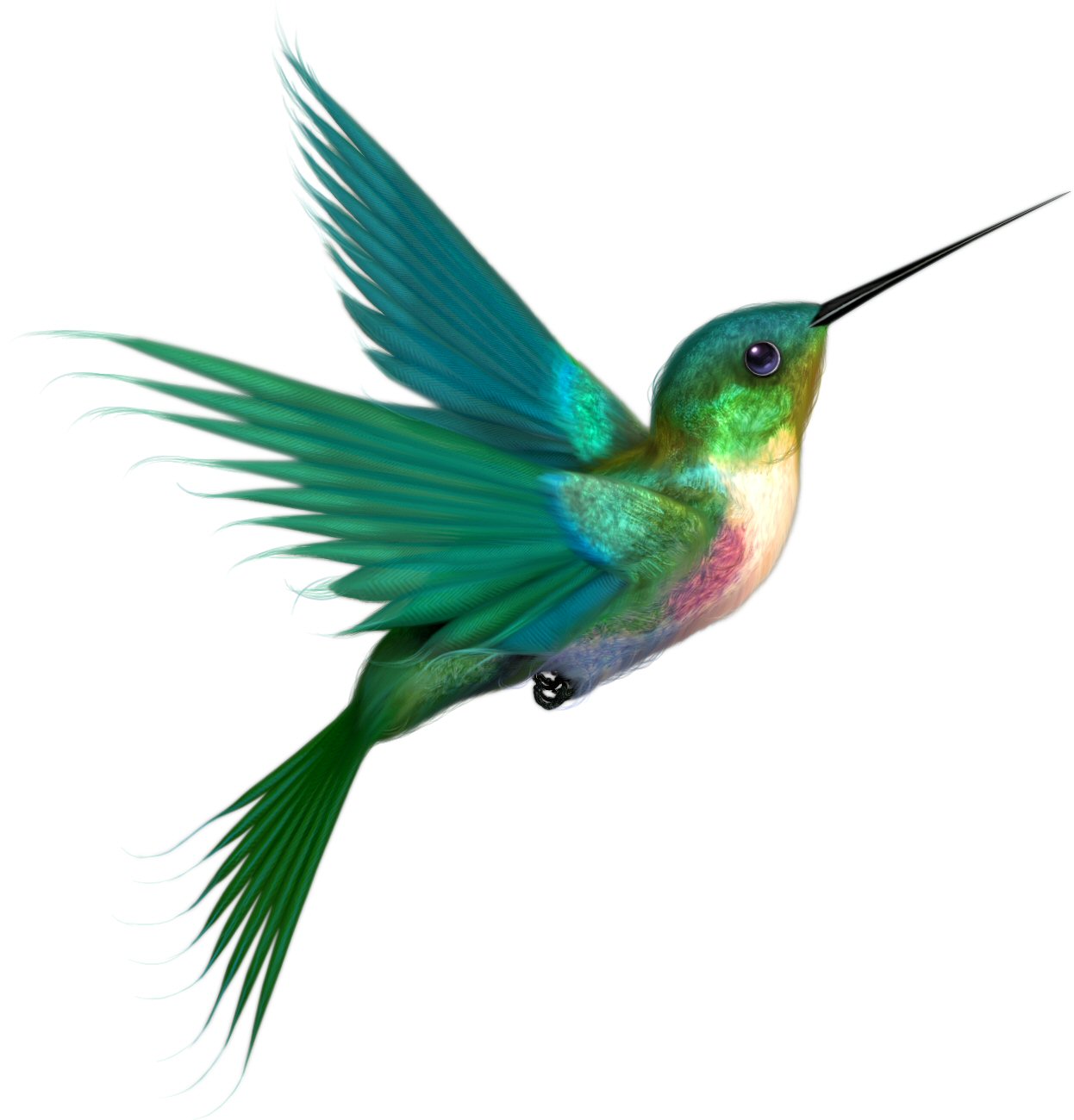 1246x1300 44 Free Hummingbird Clipart