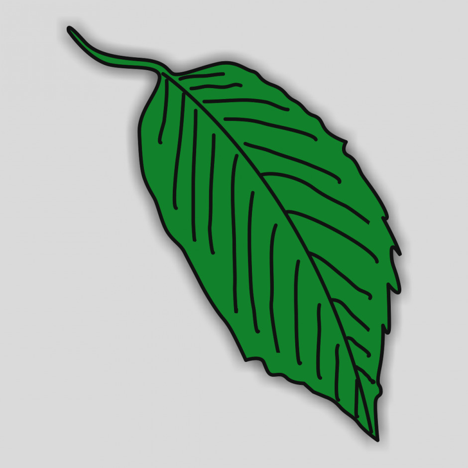 940x940 Latest Jungle Clip Art 444 813 Stock Vector Illustration