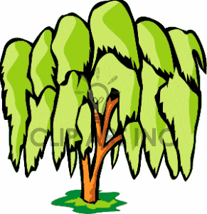 291x300 Rainforest Trees Clipart
