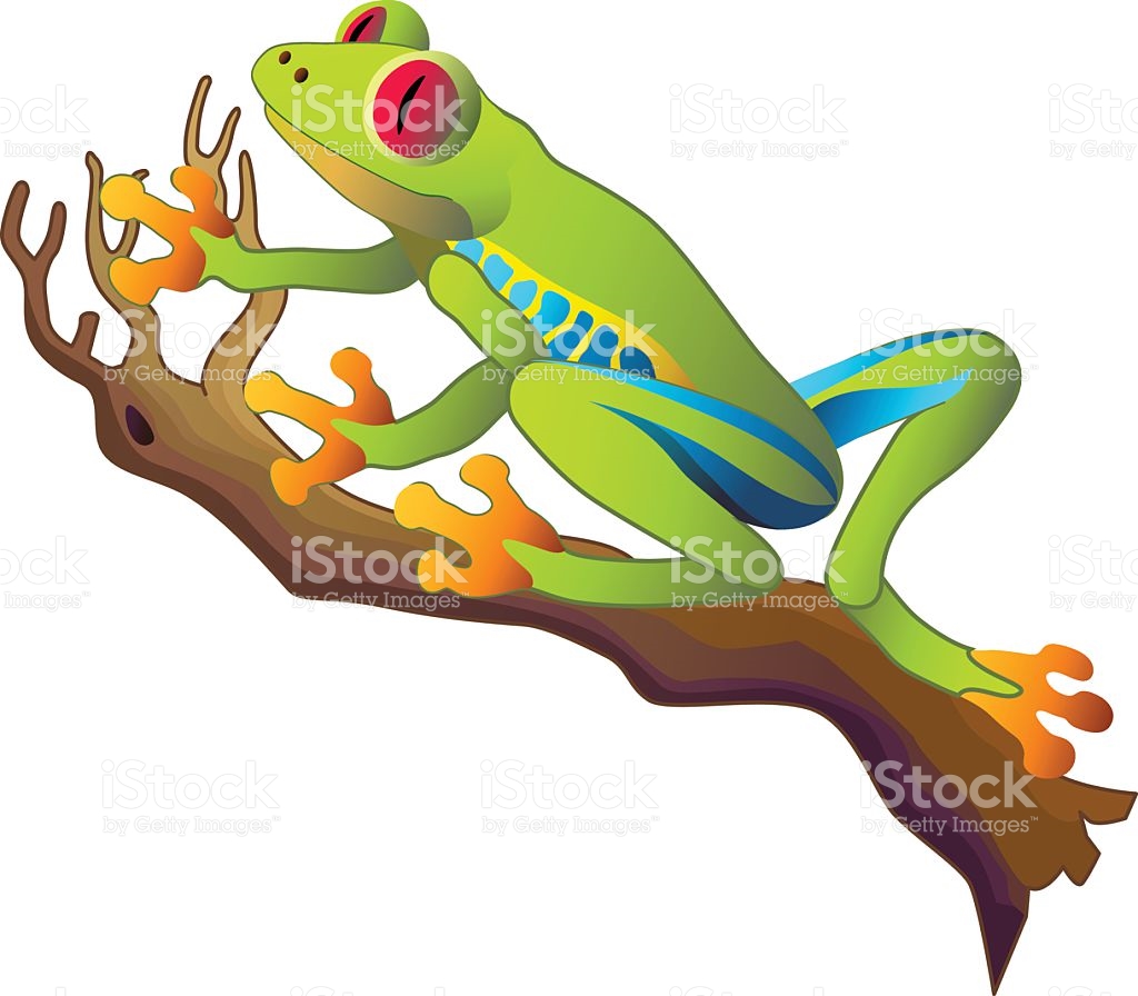 1024x896 Tree Frog Clipart Tropical Rainforest