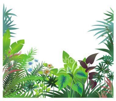 380x333 Cartoon Pictures Of The Rainforest