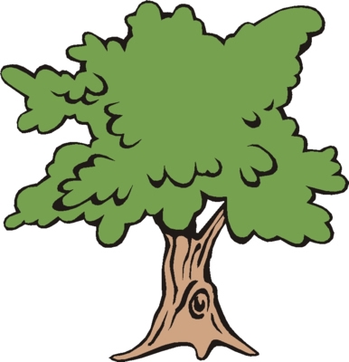 386x400 Clip Art Hickory Tree Clipart