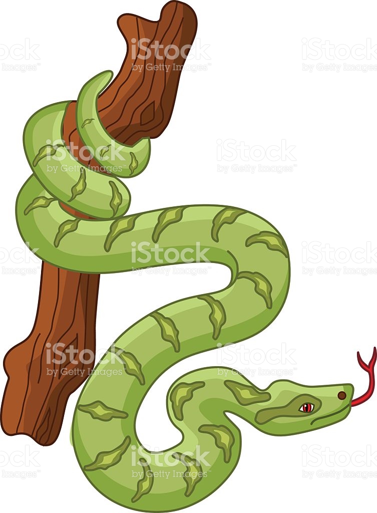 753x1024 Amphibian Clipart Rainforest Snake