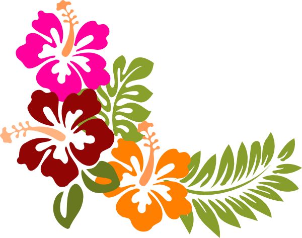 600x473 Hibiscus Clipart Rainforest Flower
