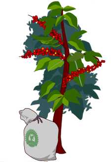 227x328 Rainforest Alliance Track It Back Coffee