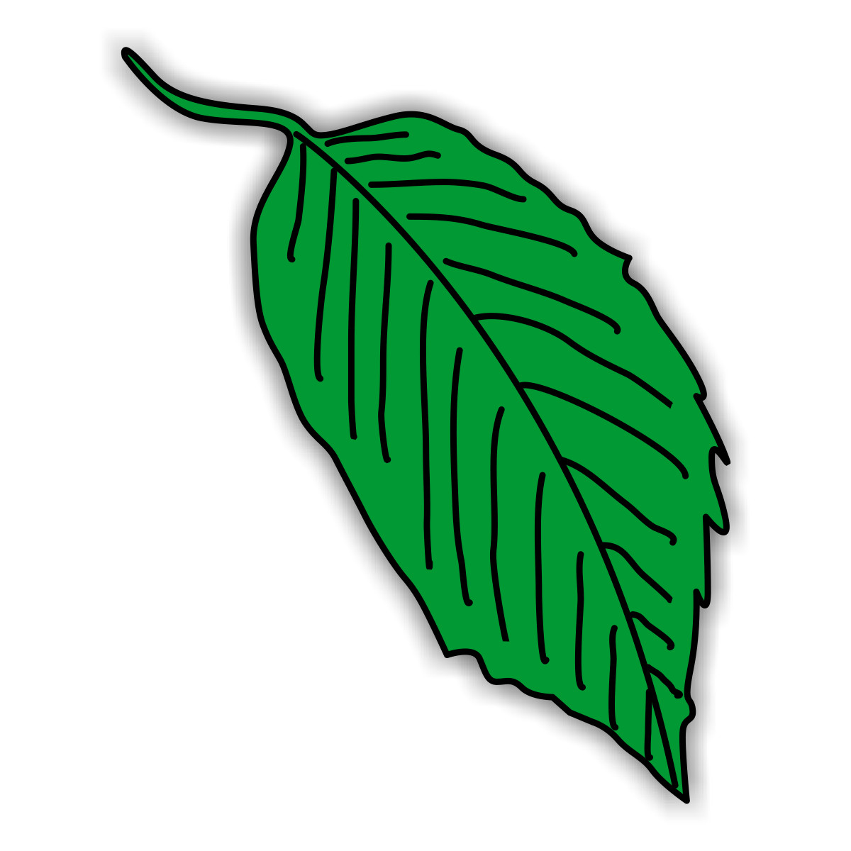 1200x1200 Rainforest Border Clipart