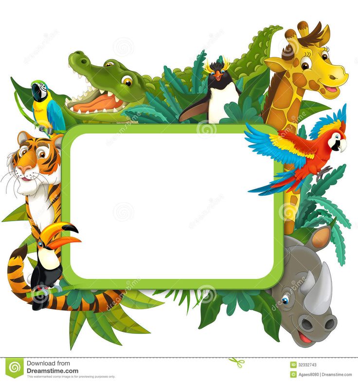 736x786 Jungle Frame Clipart