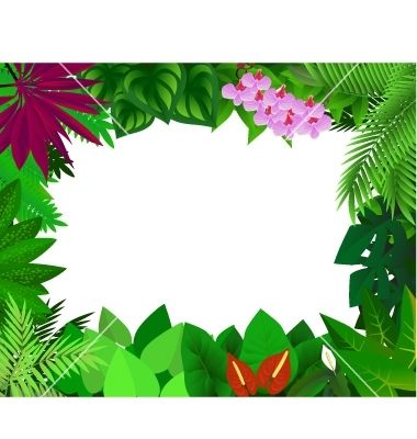 380x400 Rainforest Background Clipart Pic 515 2013124165012.jpg