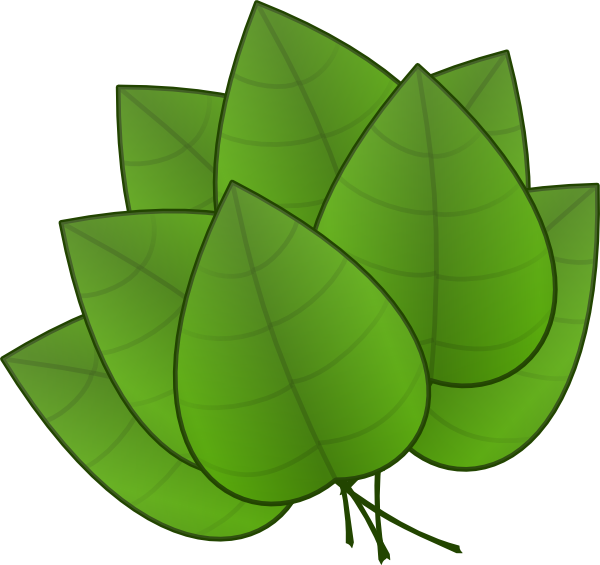 600x565 Jungle Leaves Clipart Clipart For Teachers