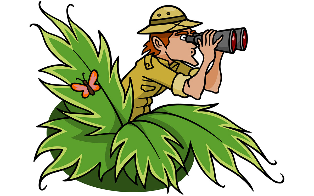 1200x750 Why Chinese Don'T Like The Jungle And Hong Kongers Love To Cycle