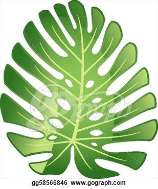 309x370 Elegant Jungle Leaves Clipart