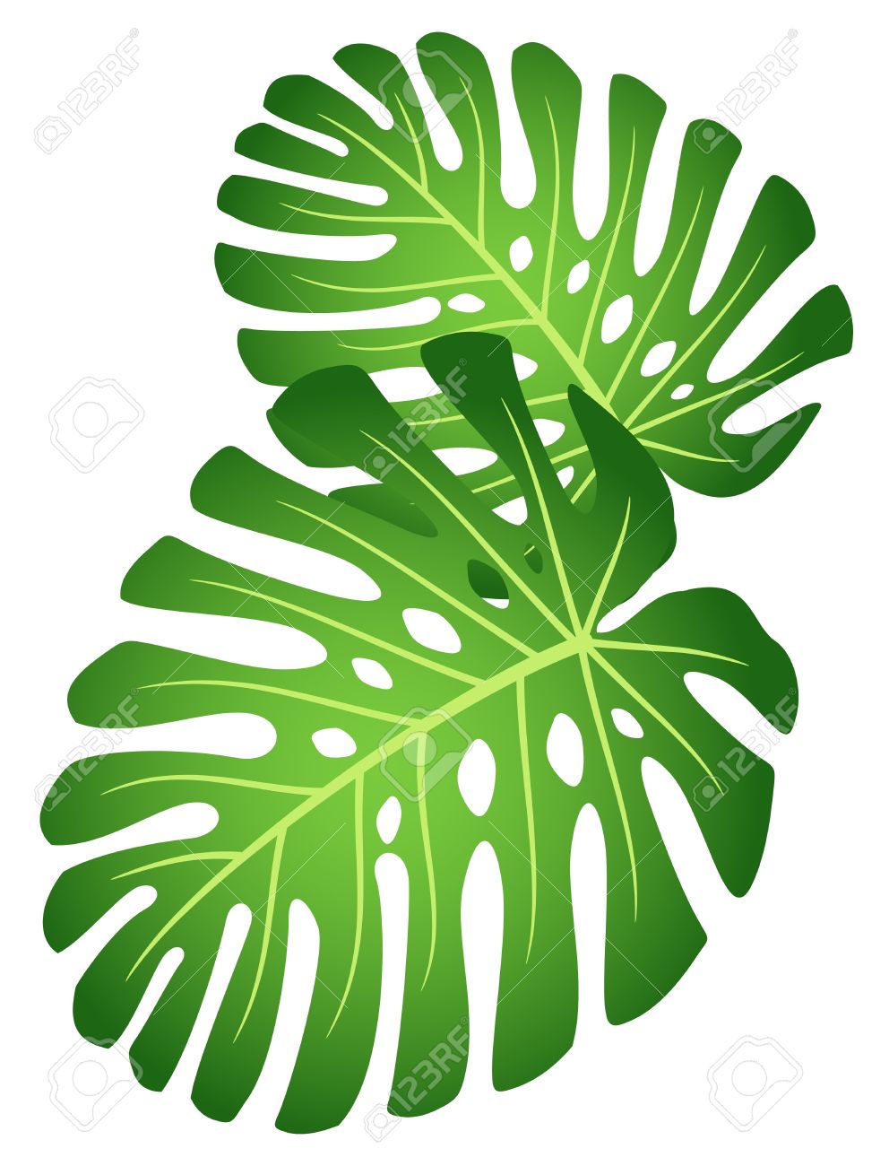 992x1300 Clipart Jungle Leaves Amp Clip Art Jungle Leaves Images