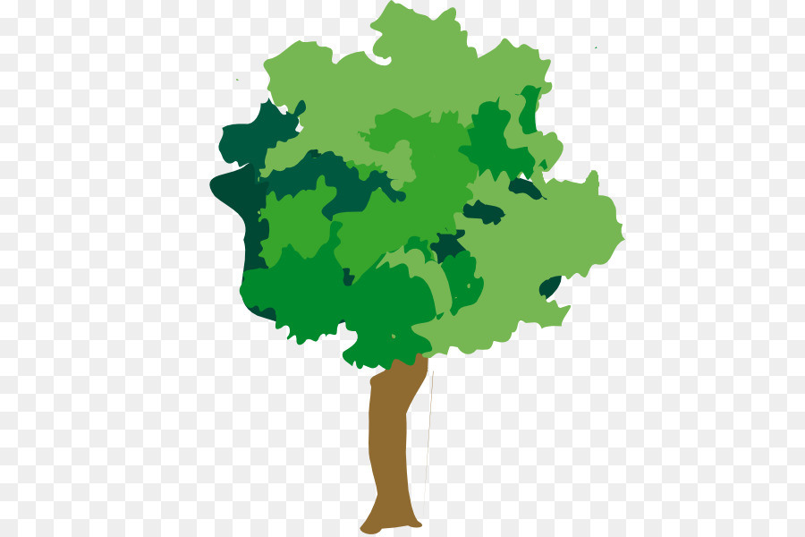 900x600 Tree Tropical Rainforest Clip Art