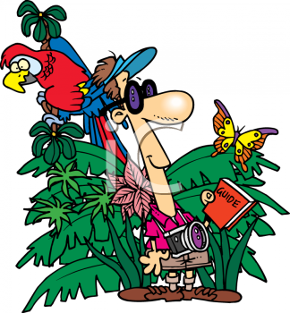324x350 New Jungle Clip Art Jungle