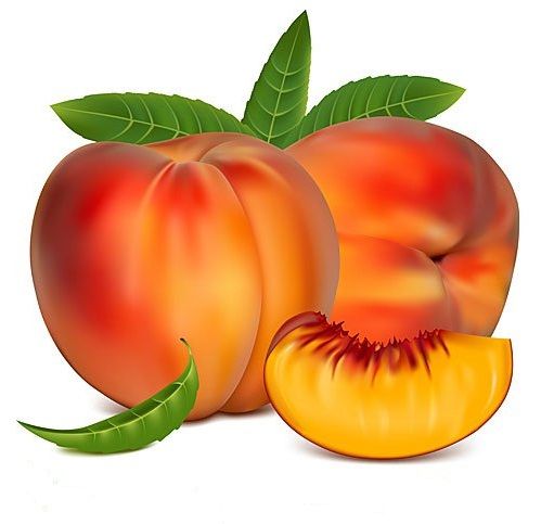 499x483 1039 Best Fruit And Vegetables Clip Art Two Images