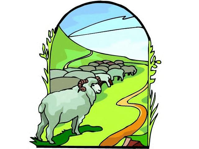 640x480 The Ram In Bush Clipart