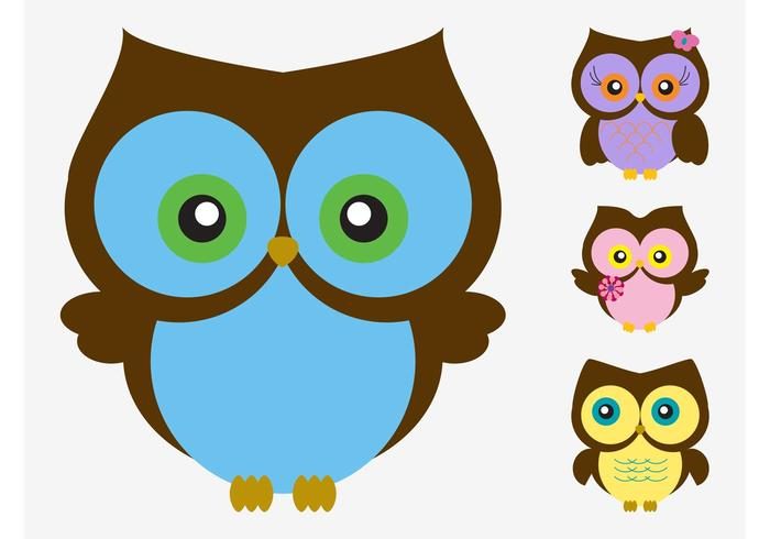 700x490 Pictures Of Owls To Download Find Here