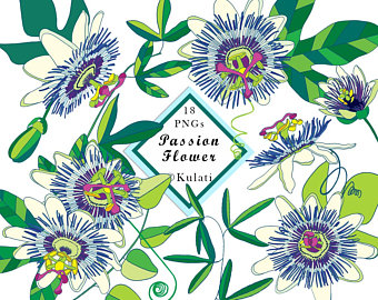 340x270 Flower Clip Art Etsy