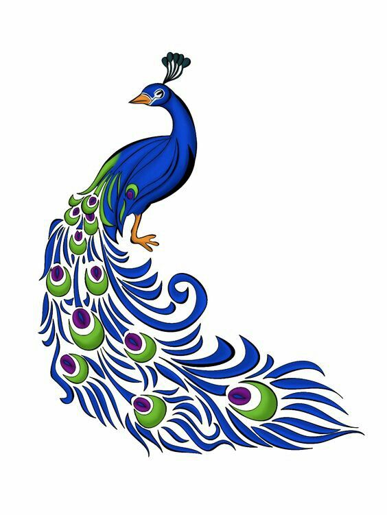 564x751 Pin By Kowsi On Kowsi Peacock, Peacock Painting