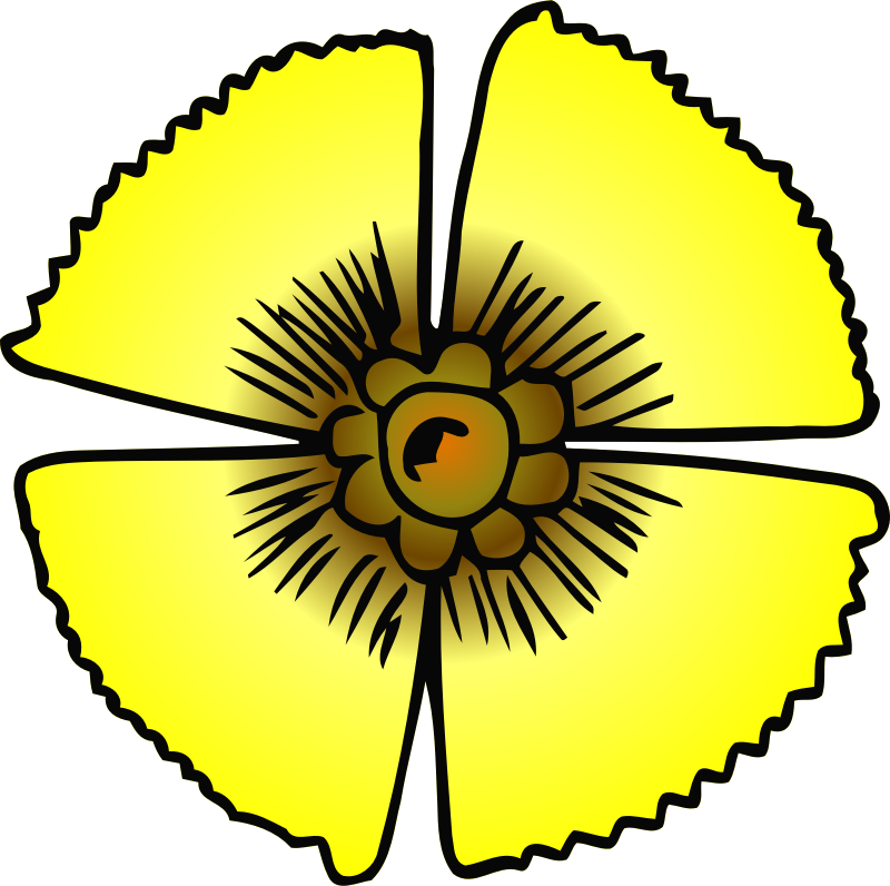 800x796 Picture Clipart