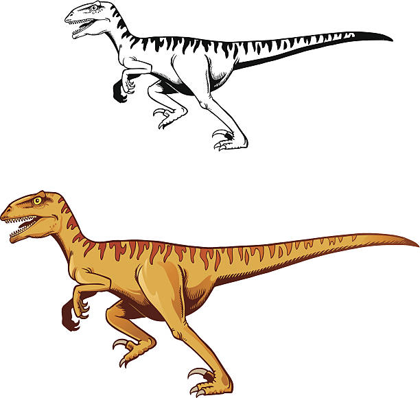 612x580 Collection Of Raptor Clipart High Quality, Free Cliparts