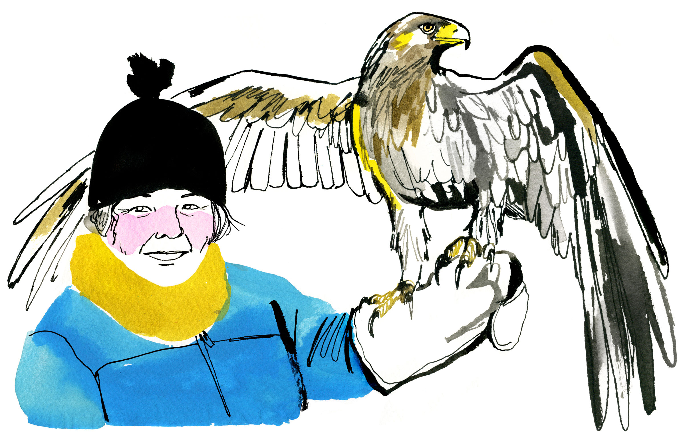 2400x1528 Raven Clipart Raptor Bird