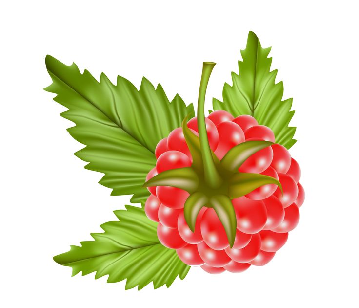 736x630 17 Best Clip Images On Clip Art