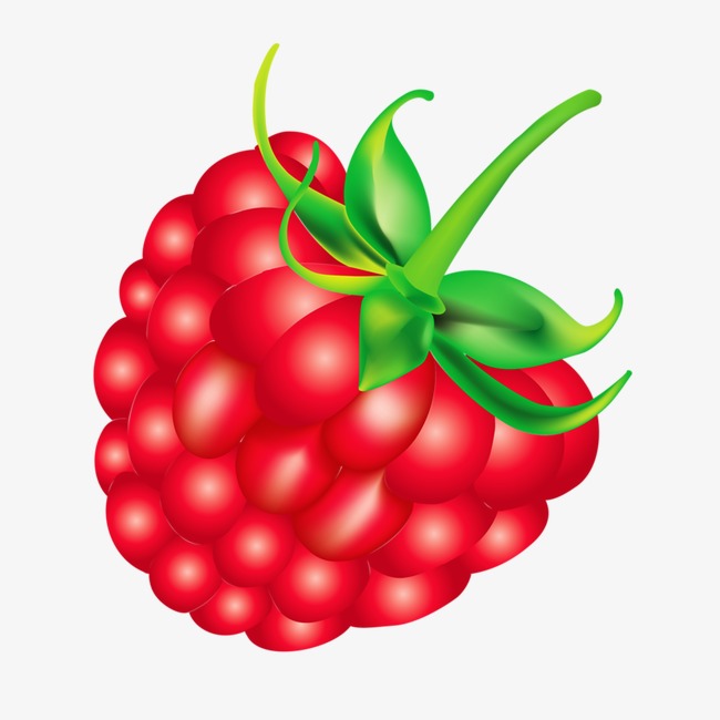 Raspberry Clipart at GetDrawings | Free download