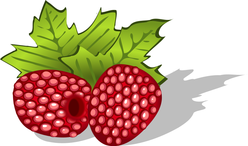 800x470 Raspberry Clip Art