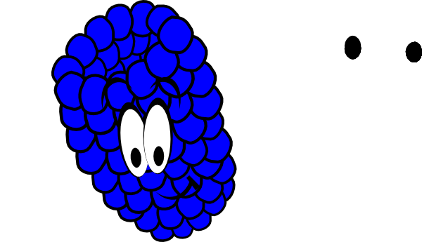 600x345 Raspberry Clipart Animated