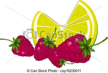 450x305 Raspberry Vector Clip Art