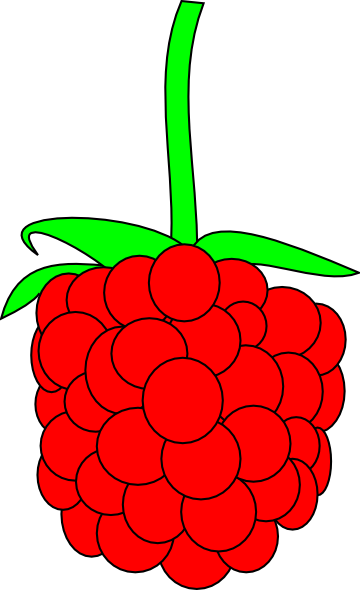 360x590 Simple Raspberry Clip Art
