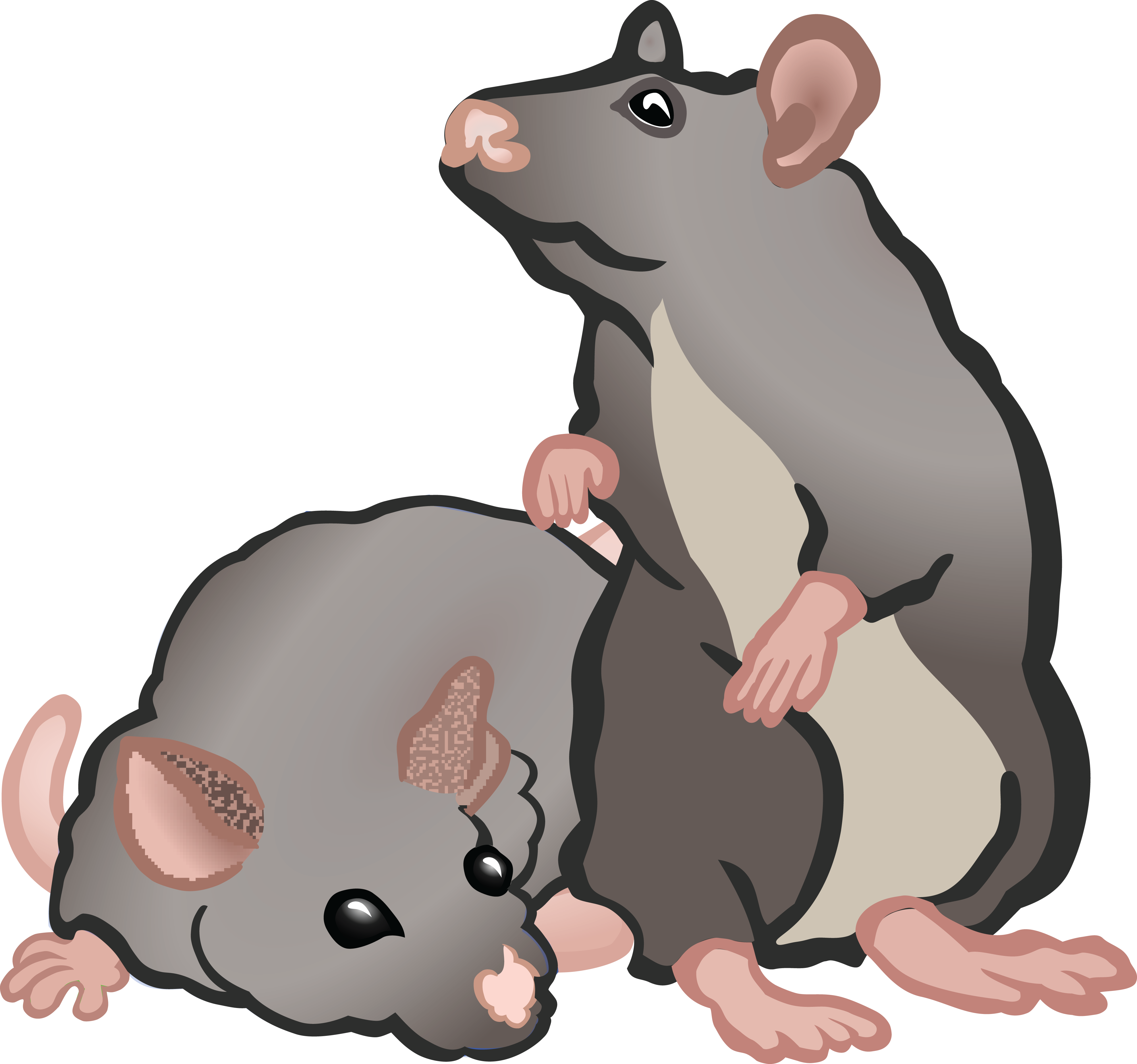 4000x3742 Free Clipart Of Rats Or Mice