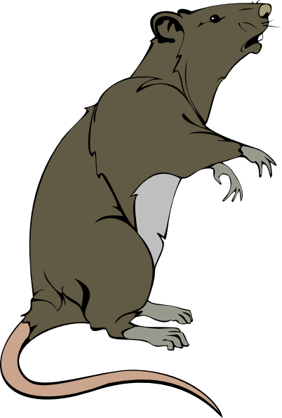 402x596 Rat Clip Art Free Clipart Panda