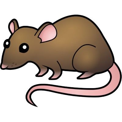 400x400 Coolest Clipart Rat Cartoon
